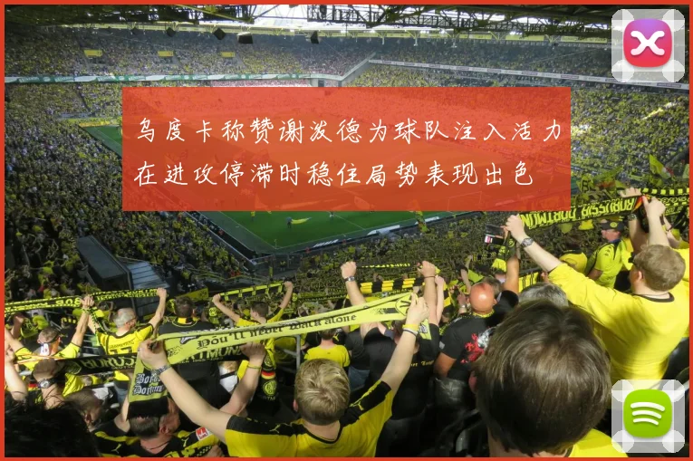 乌度卡称赞谢泼德为球队注入活力在进攻停滞时稳住局势表现出色